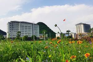 花海里的校园