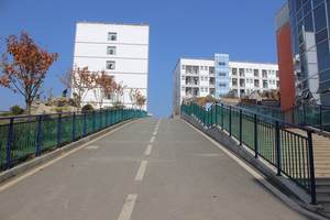 校园小径