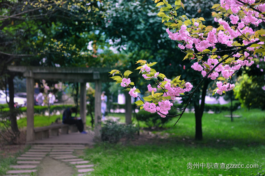 贵州铁路技师学院校园一角