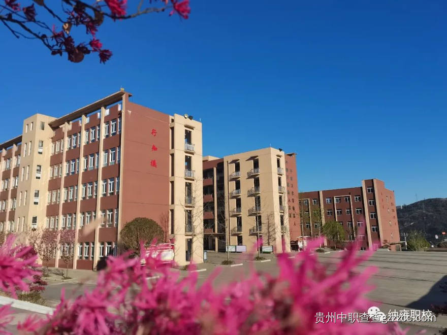 纳雍中等职业学校校门