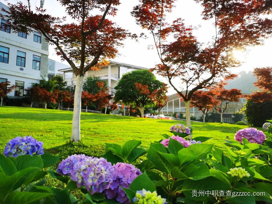 贵州盛华职业学院(中职部)校园一角