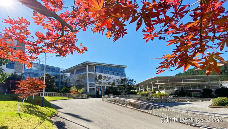 贵州盛华职业学院(中职部)航拍鸟瞰图