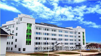 施秉县中等职业技术学校全景