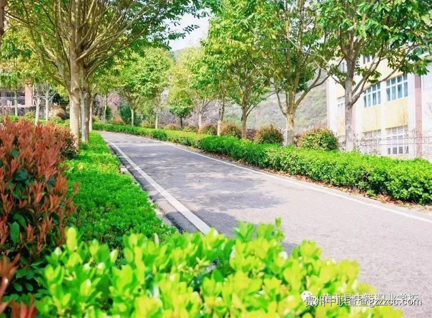 黄平县中等职业学校内部道路