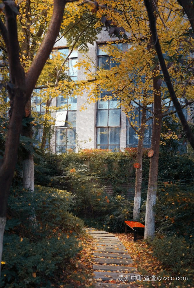 遵义职业技术学院(中职部)林荫小道