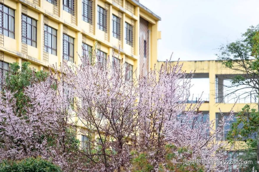智能工程技师学院美丽校园
