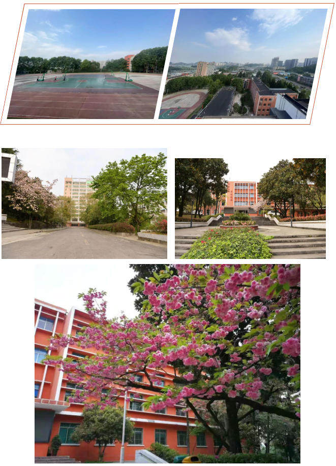 2026贵州特教中职校招生简章（公办学校免学费）